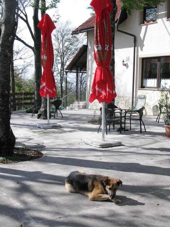 Planinarski Centar Petehovac Delnice Exterior foto